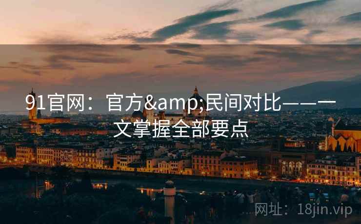 91官网:官方&民间对比——一文掌握全部要点