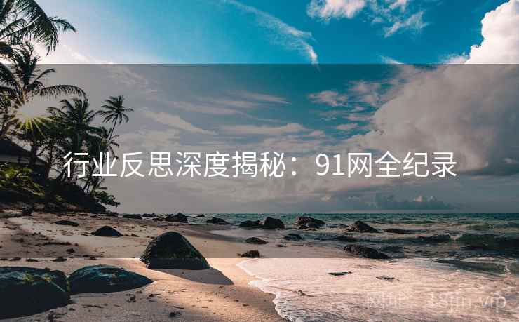 行业反思深度揭秘:91网全纪录