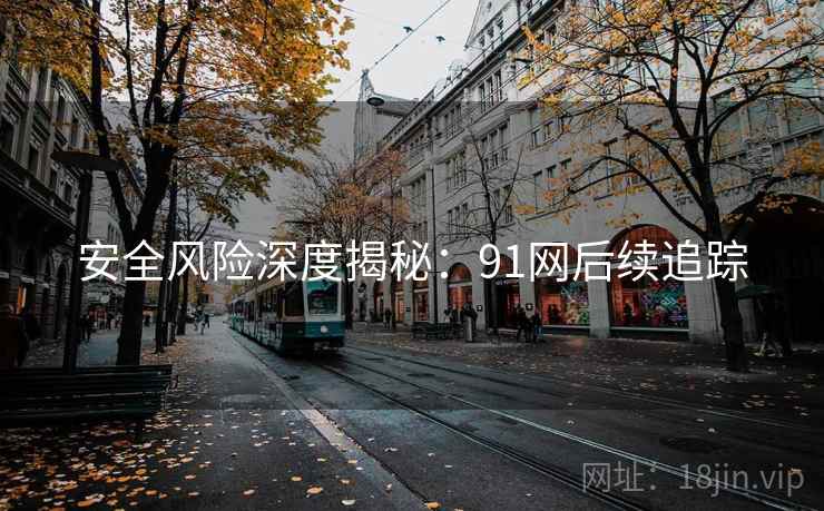 安全风险深度揭秘:91网后续追踪